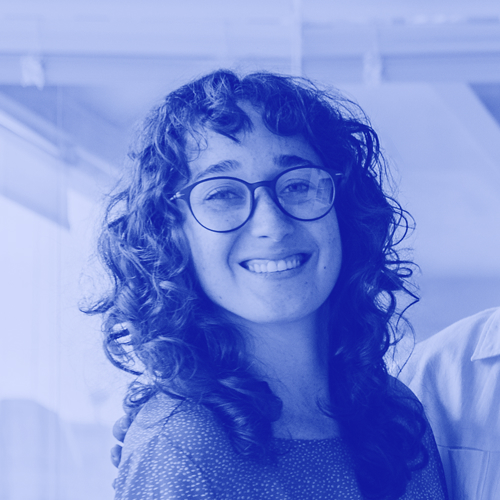 ZoomHolding | Ecossistema Corporativo